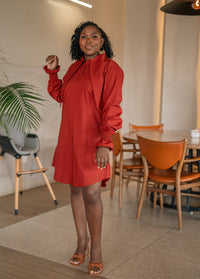 Terracotta CHETU shirt dress with a long collar and puff sleeves, full-length front view at a restaurant